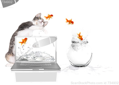 Image of Kitty Pawing at Goldfish Flying Out of Water