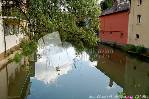 Image of the river