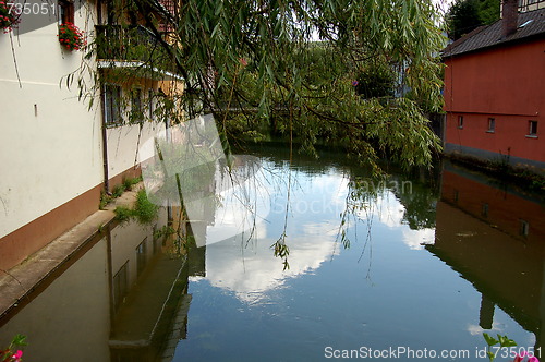 Image of the river