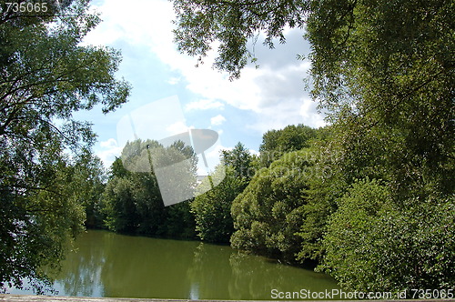 Image of trees around the river