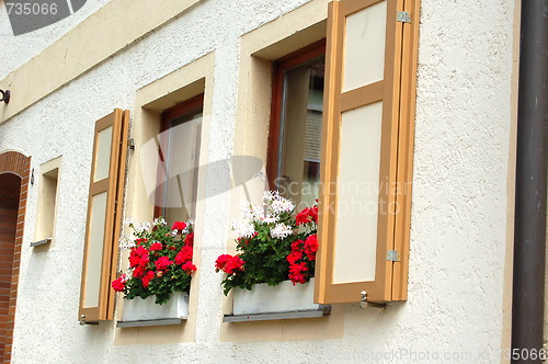 Image of windows
