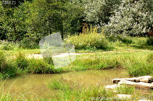 Image of the lake