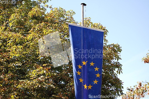 Image of the flag