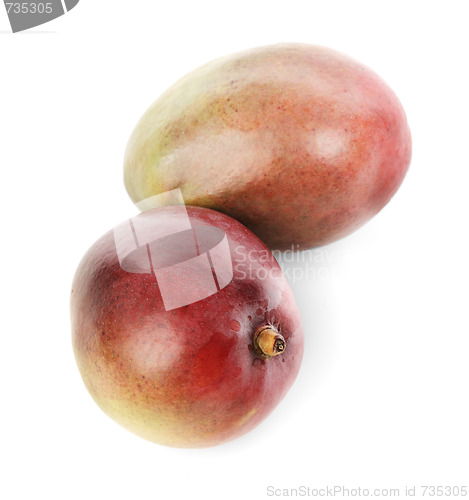 Image of Mangos