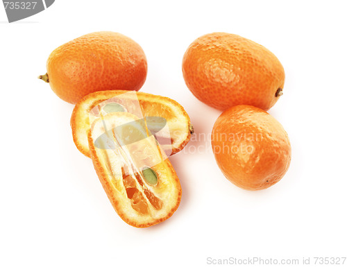 Image of Kumquat