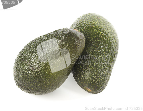 Image of Avocado