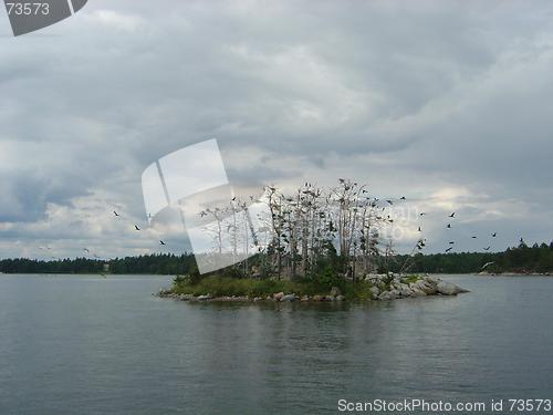 Image of Birds island