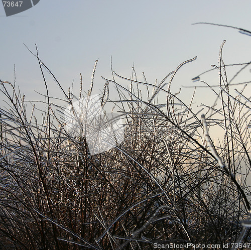 Image of winter