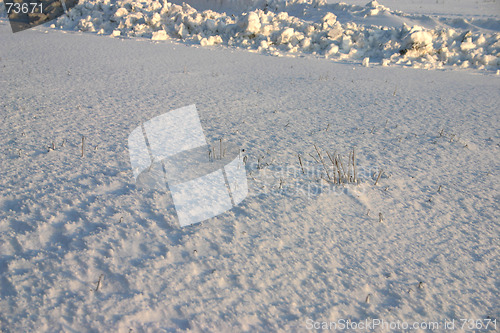 Image of winter