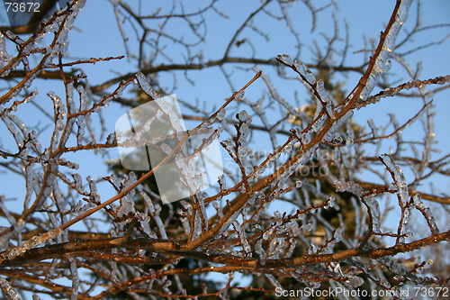 Image of winter