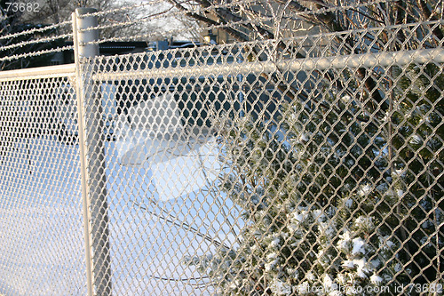 Image of winter