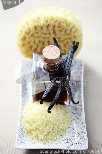 Image of vanilla essential oil