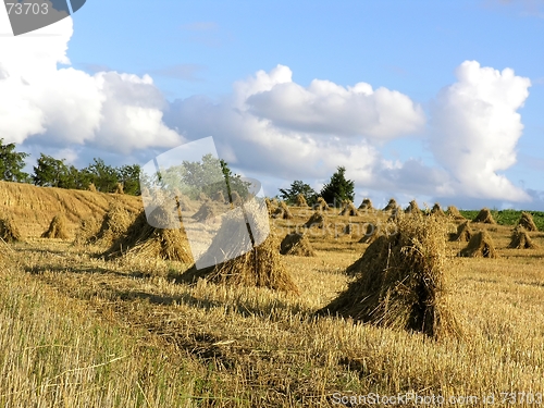 Image of haystack