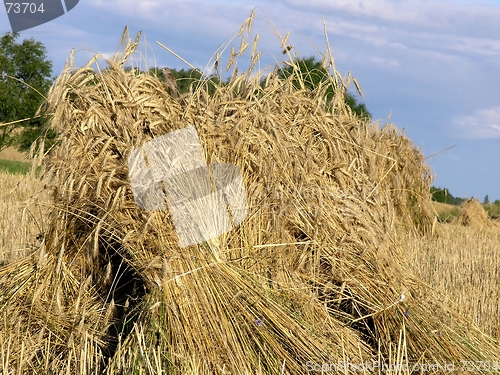 Image of haystack