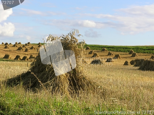 Image of haystack