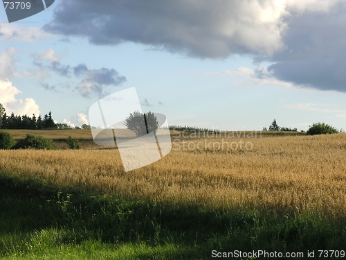 Image of Field and sky