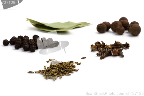 Image of bay leafs, cloves, caraway and black pepper