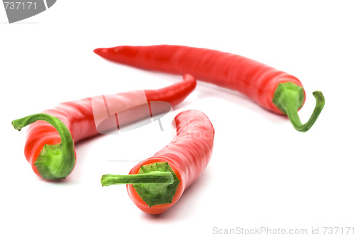 Image of three red chilly peppers