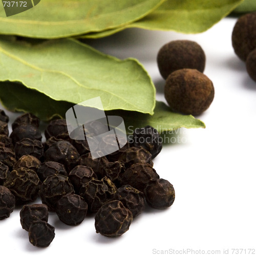 Image of cooking herbs