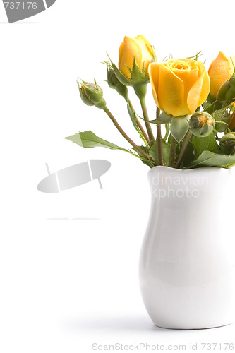 Image of yellow flowers