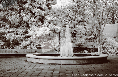 Image of Infrared Botanical Waterfountain