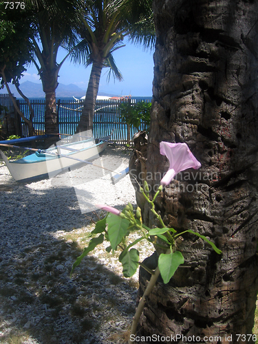 Image of island near puerta galera the philippines