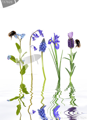 Image of 1.Spring Flowers and Bees  