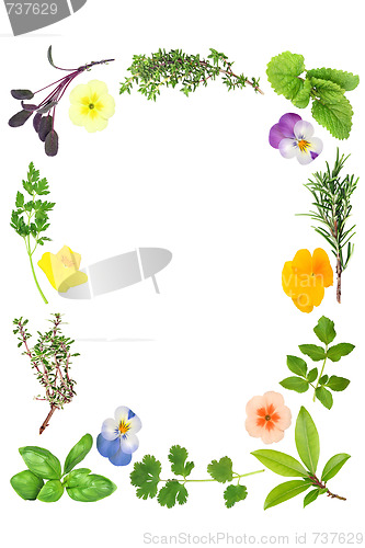 Image of Flower and Herb Leaf Border