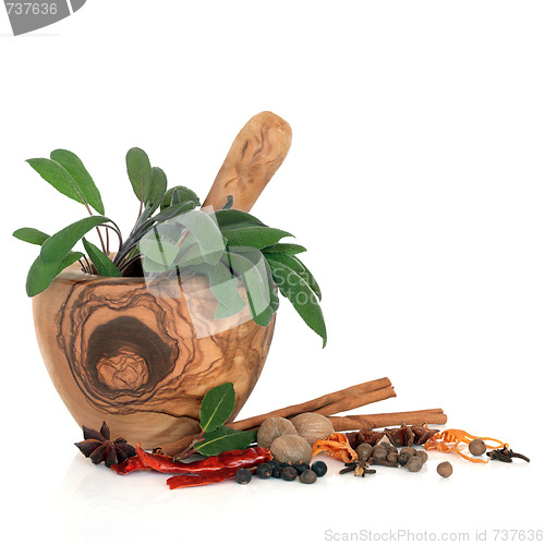 Image of Spices and Herbs