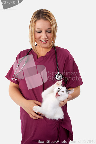 Image of Kitten does not like the vet