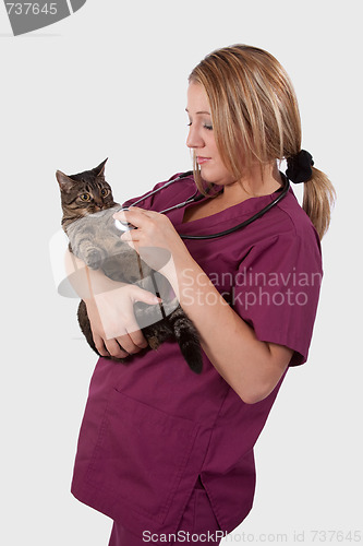 Image of Tabby with Vet