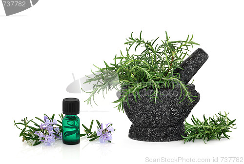 Image of Rosemary Herb Essence and Flowers