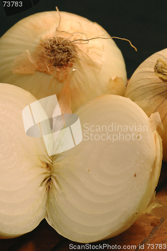 Image of vidalia onions 11