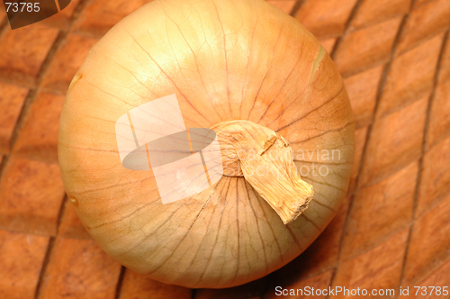 Image of vidalia onions 13