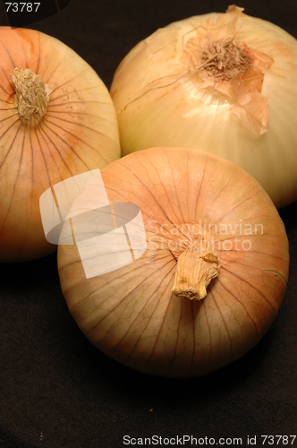 Image of vidalia onions 15