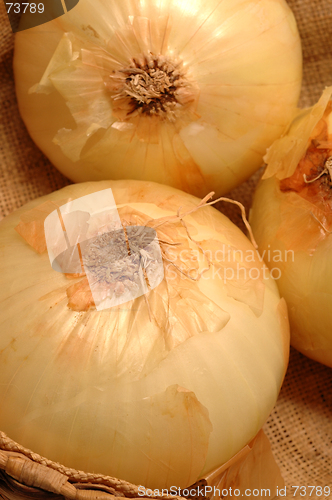 Image of vidalia onions 2