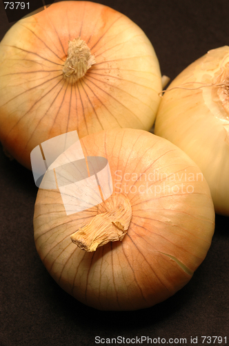 Image of vidalia onions 4