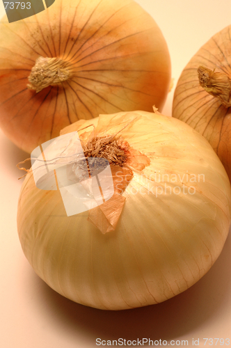 Image of vidalia onions 6