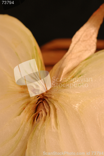 Image of vidalia onions 8