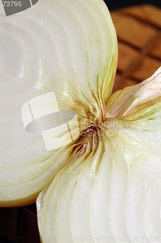 Image of vidalia onions 9