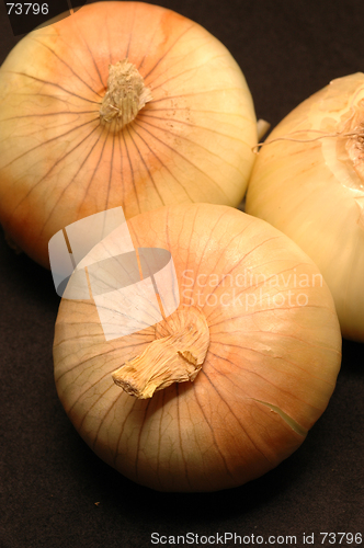 Image of vidalia onions 16