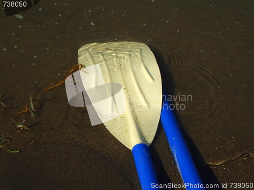 Image of Canoe Paddles