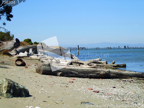 Image of Driftwood