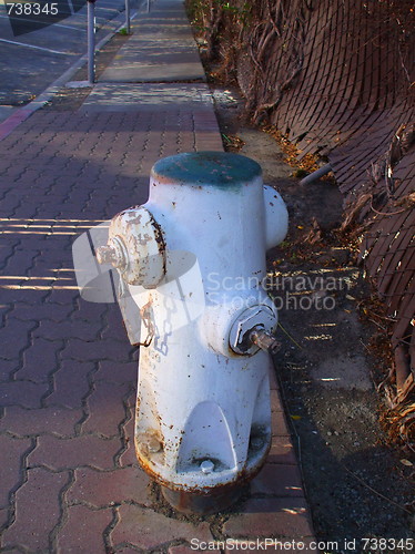 Image of Fire Hydrant