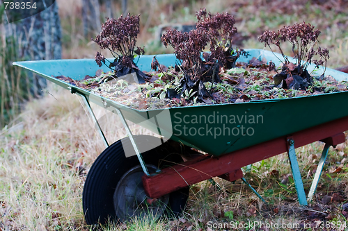 Image of Wheel barrow