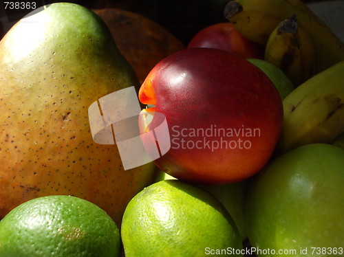 Image of Group of Fruits