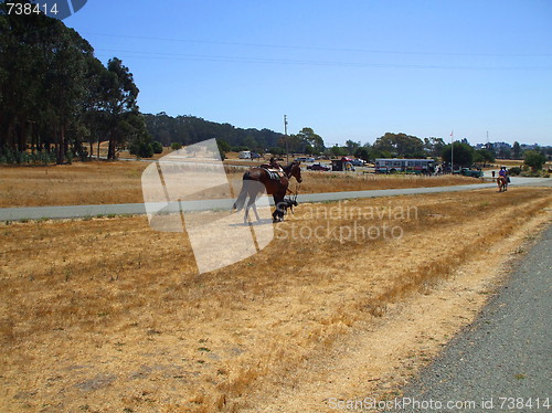 Image of Horse on a Trail