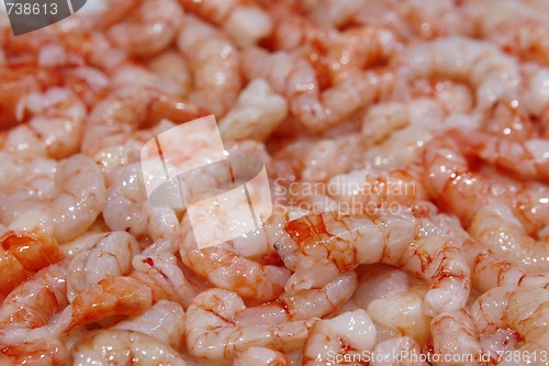 Image of Raw fresh shrimps on the market