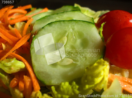 Image of Fresh Vegetable Salad