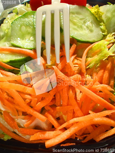Image of Fresh Vegetable Salad